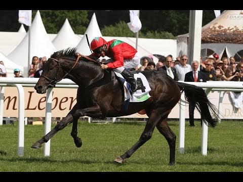 Hamburg: Almased-Cup (Gruppe 3) - Sieger: Bermuda Reef