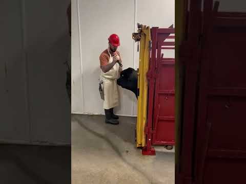 CASH CowPuncher Captive Bolt Stunner