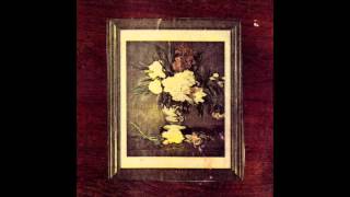 Cat Power | Top Expert