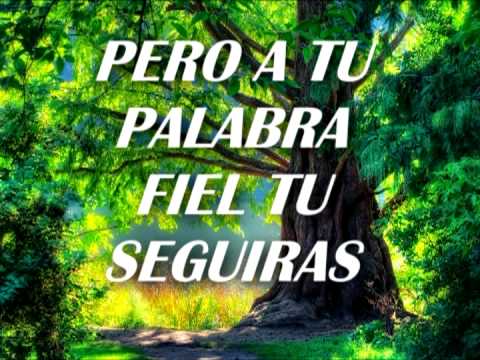 Tu has sido fiel video