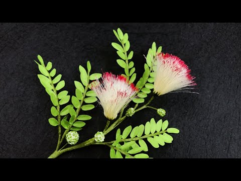 ABC TV | How To Make Powder Puff Flower - Craft Tutorial