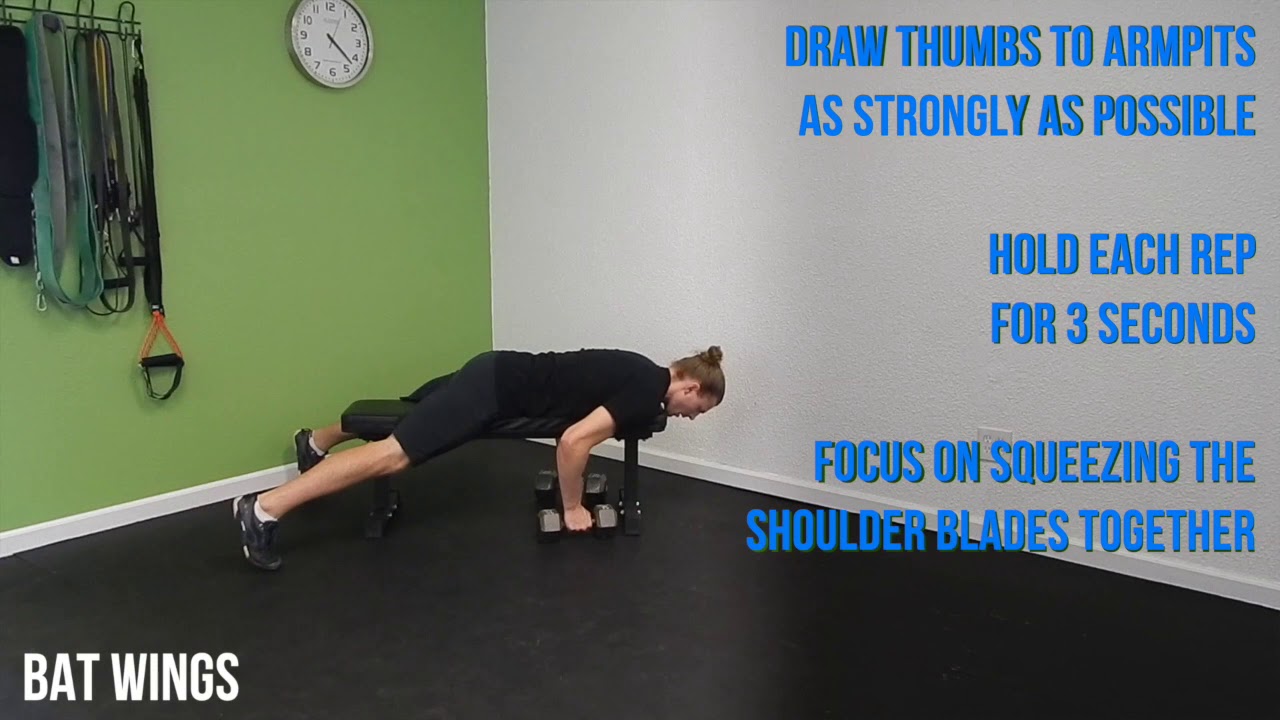 Bat Wings - YouTube