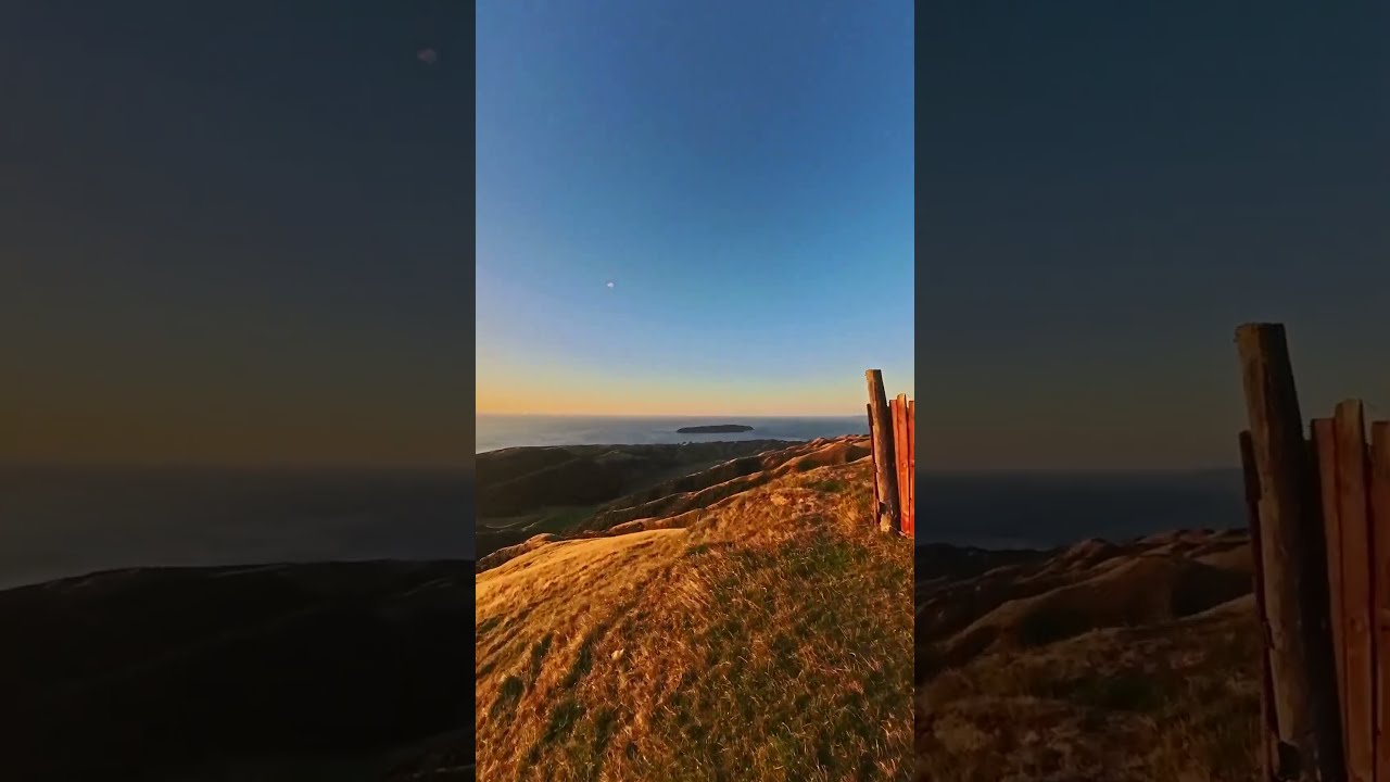 YouTube Short thumbnail