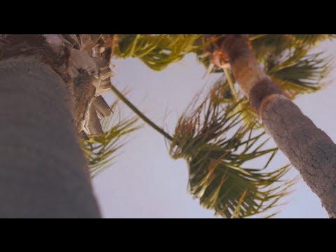 The Gooneez ft. Hed Rok - Carne x Brew (Official Music Video)