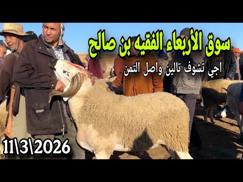 مباشرة من سوق الاربعاء الفقيه بن صالح 11/3/2026 مع التمن الحولي و النعجة و حولية 🇲🇦🇲🇦🇲🇦