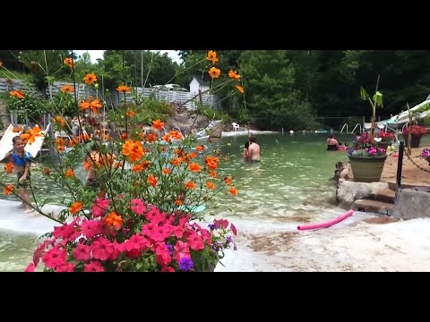 youtube embeded image