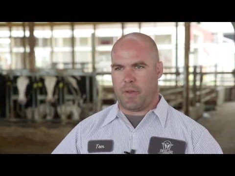Lely Dairy XL - Swisslane Farm - EN