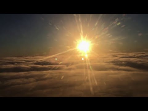 KiQu x PPW - Synergia