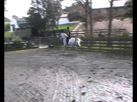 Simeon_Shatul_Ridden.wmv