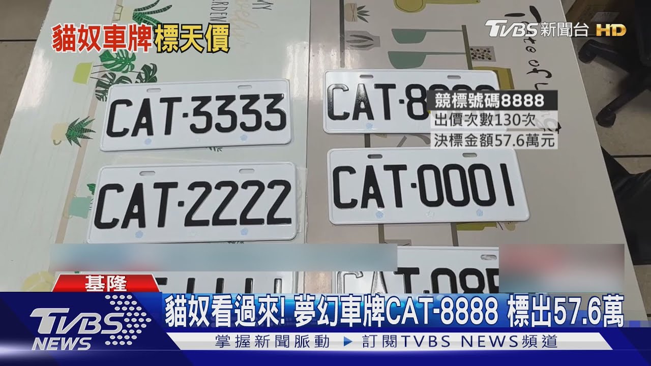 貓奴看過來！夢幻車牌CAT-8888競標夯　標出57.6萬