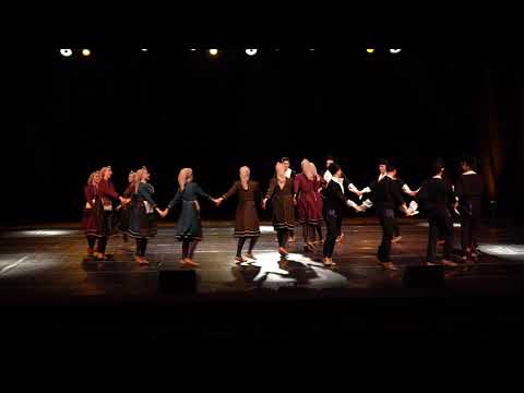 AKUD Mirce Acev-Malesevska