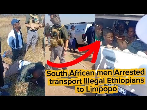 Watch 2 men Arrested transporting illegal Ethiopians to Limpopo 