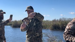 Ducks 🦆 hunting at Eveglades , Florida