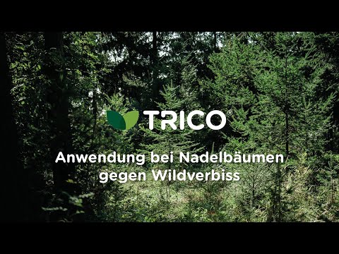 TRICO®: Anwendung bei Nadelbäumen gegen Wildverbiss