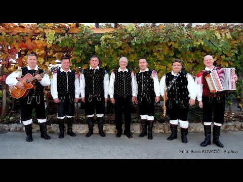 Ansambel Jarica, Andrej Bergant in Harmonikarji Tonija Sotoška - Tu je harmonika doma