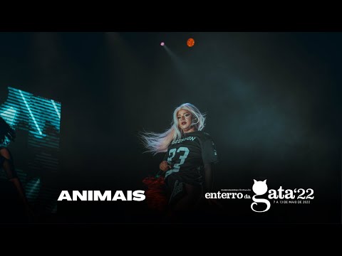ANIMAIS - Favela Lacroix | Ao Vivo | Enterro da Gata 2022 | #FaveladaTour
