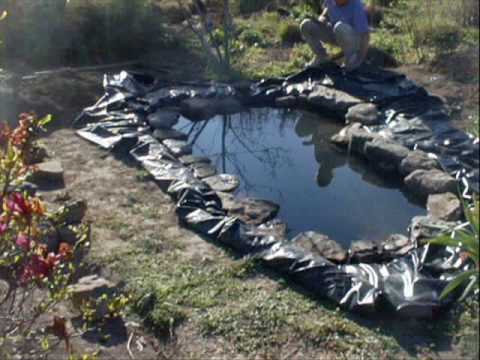 Goldfish Pond Construction