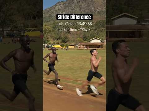 Stride Difference Between Two Elite Runners