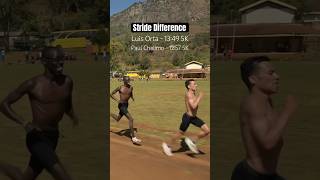 Stride Difference Between Two Elite Runners
