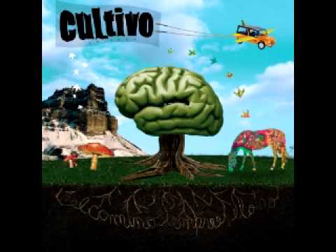 Estrellado - Cultivo la Tierra