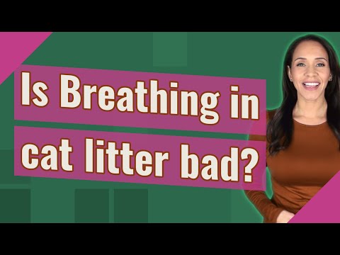 Is Breathing in cat litter bad?