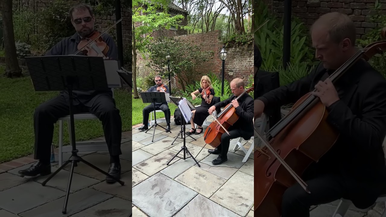 Promotional video thumbnail 3 for Charleston Elite Musicians
