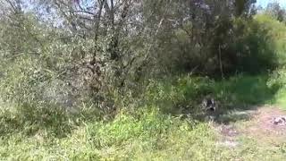 Рыбалка в веневском районе тульская область