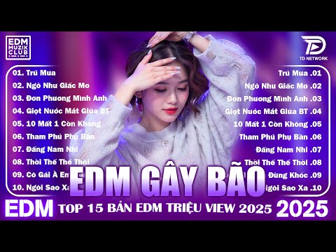 Trú Mưa Remix ♫ Top Nhạc Trẻ Triệu View Hót TikTok | BXH 15 Bản EDM Cực Siêu Phẩm Gây BÃO 2025