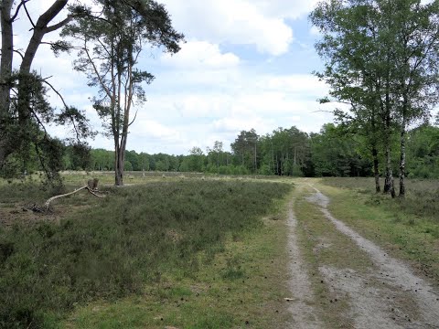Rondwandeling Wechelerveld - Schalkhaar