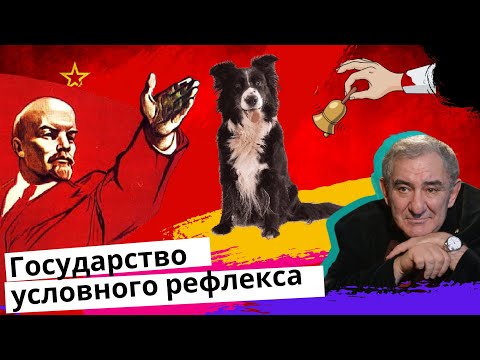 В нас пытались воспитать условный рефлекс! Михаил Казиник