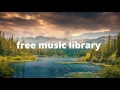 Zoom Vibe Tracks Copyright Free Music