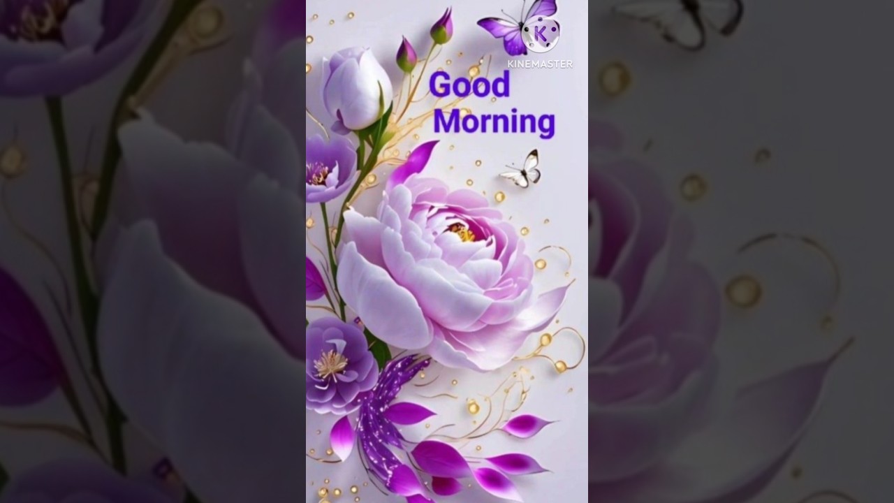 Good morning 🌞🌄 Beautiful good morning whatsapp#shorts#status#goodmorning #video #message 🌄🌞