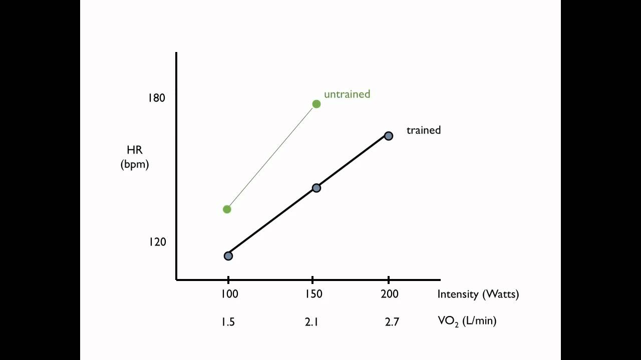 Predictive VO2max tests