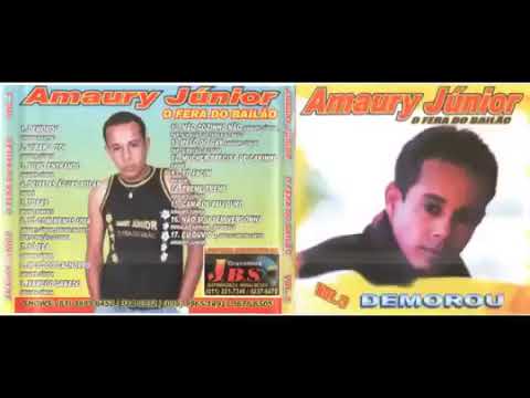 Amaury Junior - O Fera Do Bailão Vol.5 cd completo