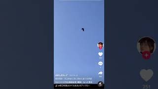 もしも橋本環奈・浜辺美波が同じ高校にいたら・・・【TikTok】