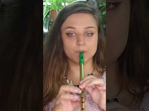 Down by Sally Gardens -  On Irish Flute #sallygardens #irishflute