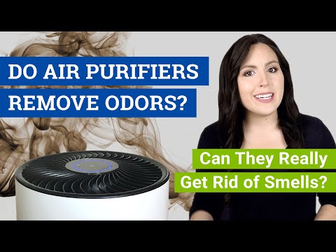 image-What are the different types of odor eliminators? 