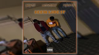 Zay RK - Seem Like It Ft. MTO Fredo &amp; Byron J