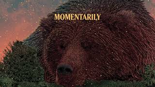 Momentarily Music Video