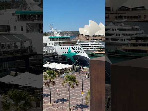 Thumbnail for Aurora Expeditions’ New Douglas Mawson in Circular Quay #cruise #shorts