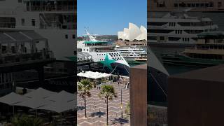 Aurora Expeditions’ New Douglas Mawson in Circular Quay #cruise #shorts