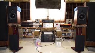 The tennessee waltz(Holly Cole Trio)