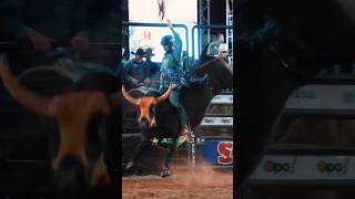 Montaria que o título de campeão de Angélica/MS para o competidor Lucas Araújo, Novo repartimento/PA