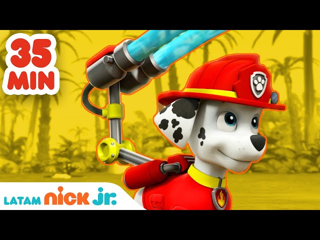 Vídeo relacionado con Herding Paw Patrol - Cortinas Bufanda, poliéster, Azul, 160 x 140 cm
