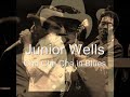 Junior Wells-Cha Cha Cha in Blues