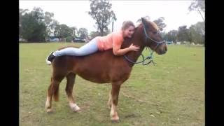 I'll Keep Fighting For My Wildest Dreams