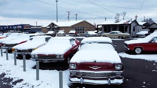 Maple Motors SNEAK PEEK 1/12/25 Lot Walk PREVIEW