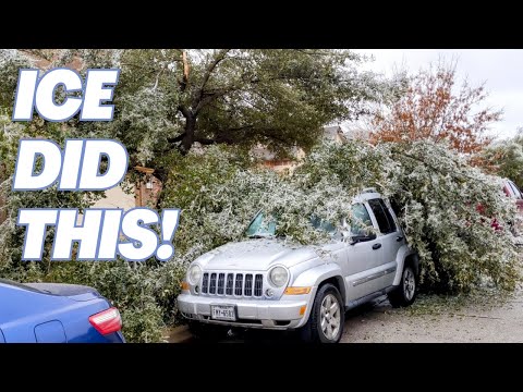 Damage from Central Texas Ice Storm 2023! #icestorm #ice #freeze
