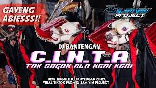 Download lagu DJ BANTENGAN C. I. N. T. A D'BAGINDAS VIRAL TIKTOK FROM DJ SAM VIN PROJECT mp3