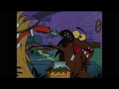 The Angry Beavers: Jalapeños